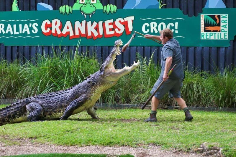 Sydney: Reptile Park and Avoca Beach Day Trip with Entry - Key Points