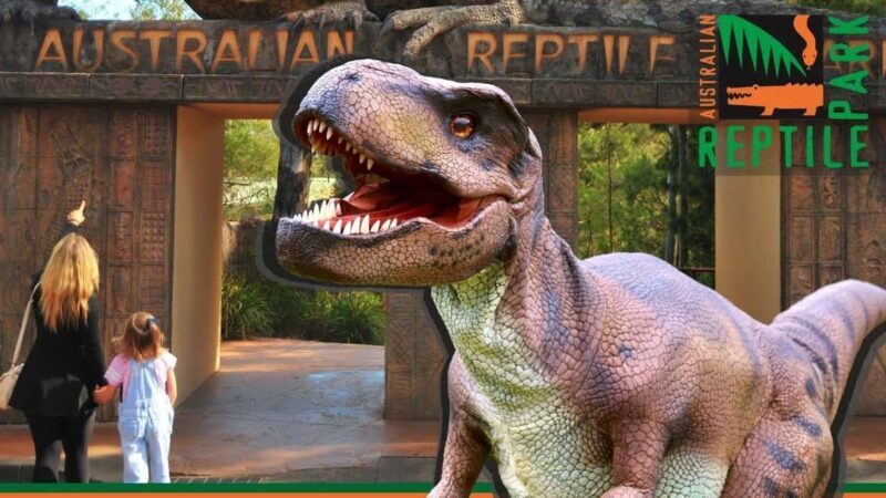Sydney: Reptile Park and Avoca Beach Day Trip with Entry - What Makes This Tour Stand Out