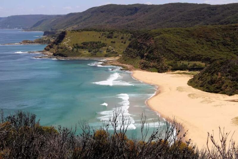 Sydney: Royal National Park private day tour - An Introduction to the Royal National Park Private Day Tour