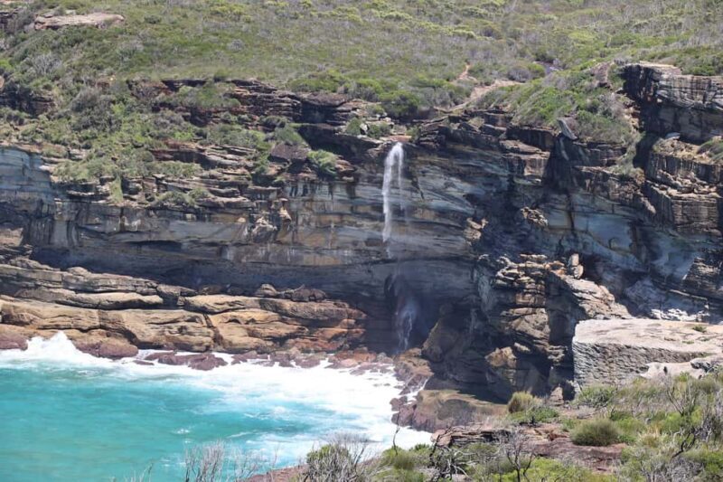 Sydney: Royal National Park private day tour - Final Thoughts: Who Is This Tour Best For?