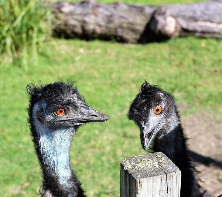 Sydney: Royal National Park private day tour - FAQ