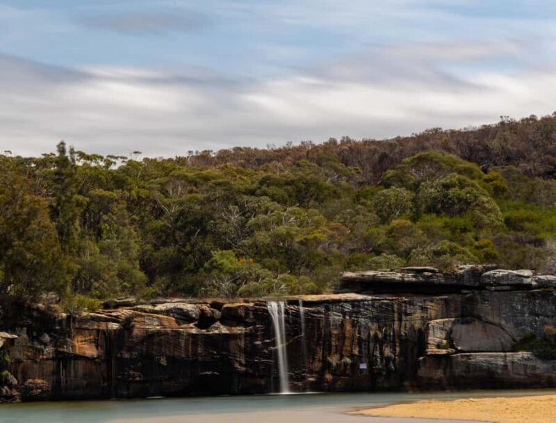 Sydney: Royal National Park tour with picnic - Key Points