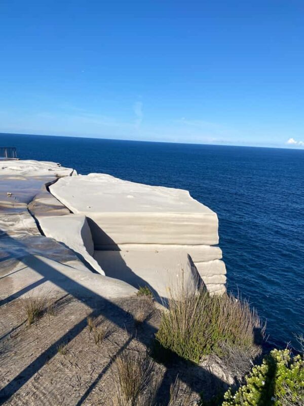 Sydney: Royal National Park tour with picnic - An Authentic Day in Nature: What to Expect from the Tour