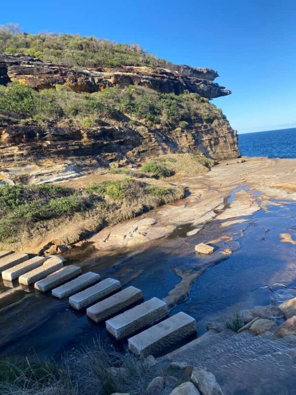 Sydney: Royal National Park tour with picnic - Final Thoughts: Is It Worth It?