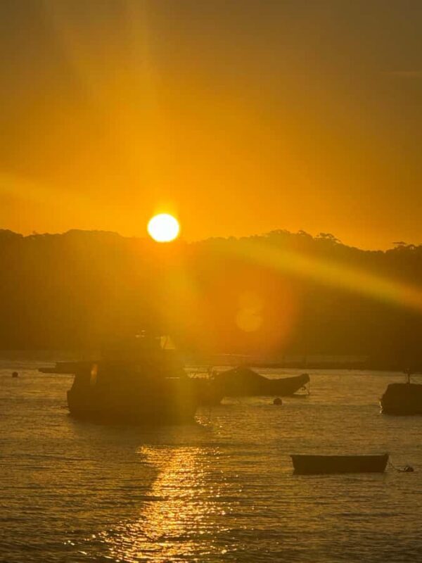 Sydney: Scenic Ferry & Sunset Experience in Watsons Bay - Detailed Breakdown of the Itinerary