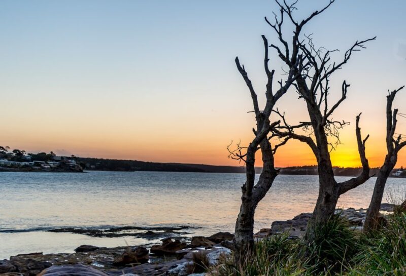 Sydney: Sea Cliff Bridge, Kiama Blowhole and Farmlands Tour - Exploring the Coastline and Iconic Landmarks  