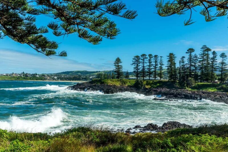 Sydney: Sea Cliff Bridge, Kiama Blowhole and Farmlands Tour - Lunch and Refreshments  