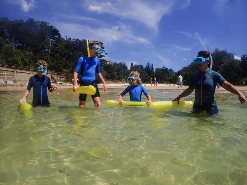Sydney: Snorkeling Tour for Kids with Private Guide - What to Expect From the Snorkeling Tour