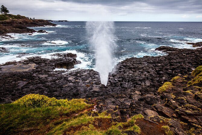 Sydney South Coast Day Tour  Kiama Blowhole & Sea Cliff Bridge - An Unforgettable Coastal Drive Begins