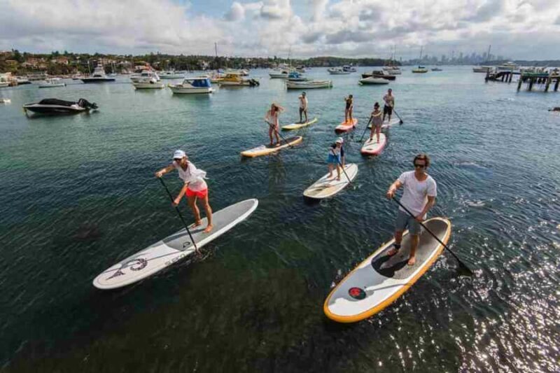 Sydney: Stand Up Paddling & Swim Experience in Watsons Bay - Key Points