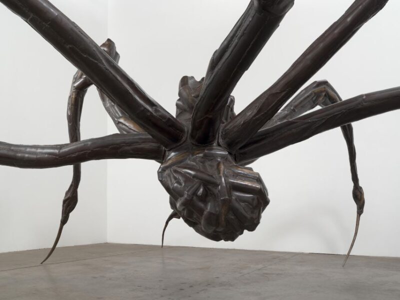Sydney Summer Art Exhibitions Art Gallery of New South Wales - What to Expect from the Exhibitions