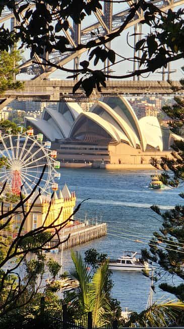 Sydney: Sunset Kayak - Opera & Harbour Bridge Tour (5p. max) - Final Thoughts: Is This Tour Right for You?