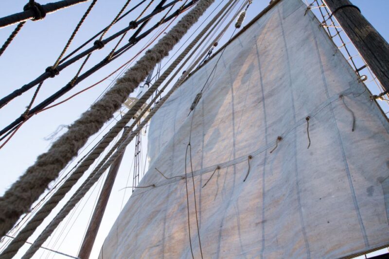 Sydney: Tall Ship Harbour Twilight Dinner Cruise - Review Highlights from Past Guests