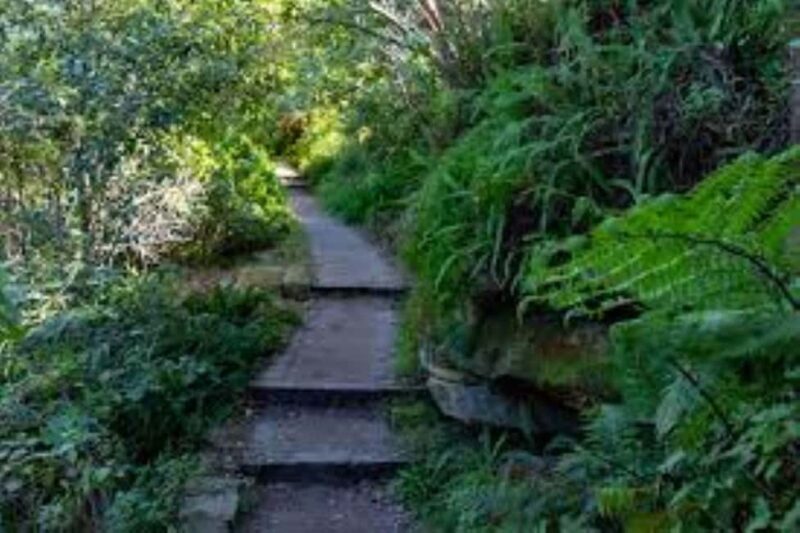 Sydney: Taronga to Balmoral Walk with picnic at Balmoral - Key Points