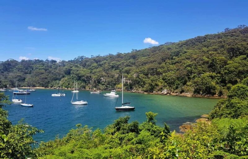 Sydney: Taronga to Balmoral Walk with picnic at Balmoral - A Detailed Look at the Sydney: Taronga to Balmoral Walk