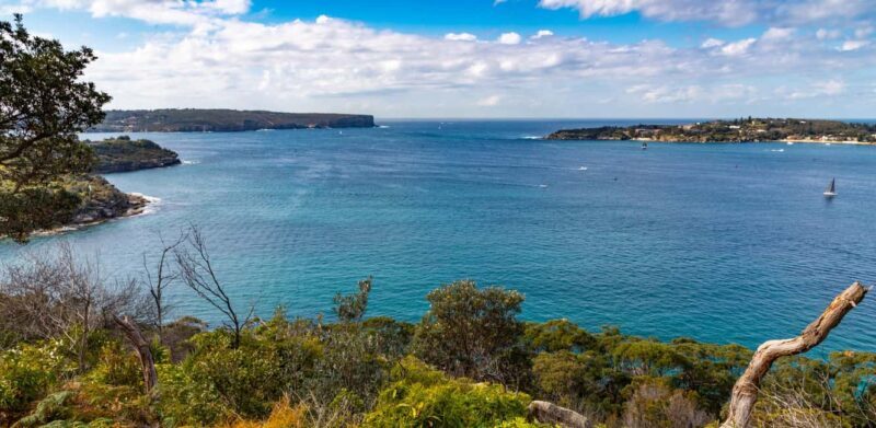 Sydney: Taronga zoo to Balmoral Walk with Ala carte Lunch - Why the Lunch at Bathers Pavilion Elevates the Experience