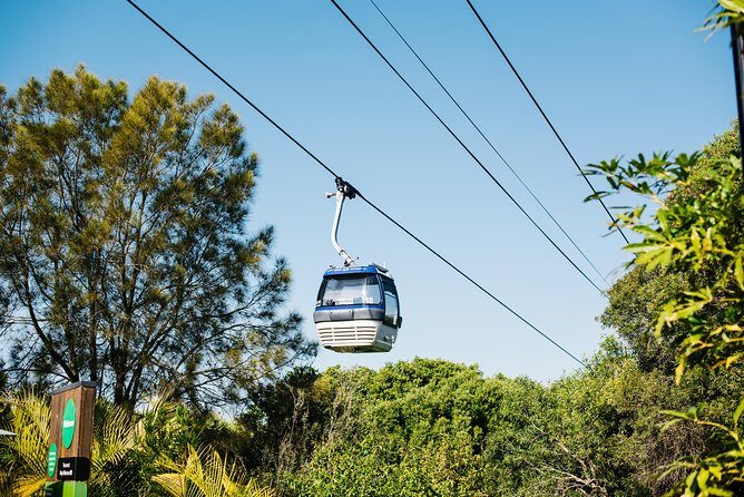 Sydney Taronga Zoo Wild Australia Experience - Who Would Enjoy This Tour?