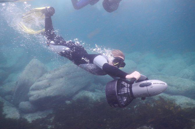 sydney underwater scooter tours - What to Expect from Your Underwater Scooter Tour