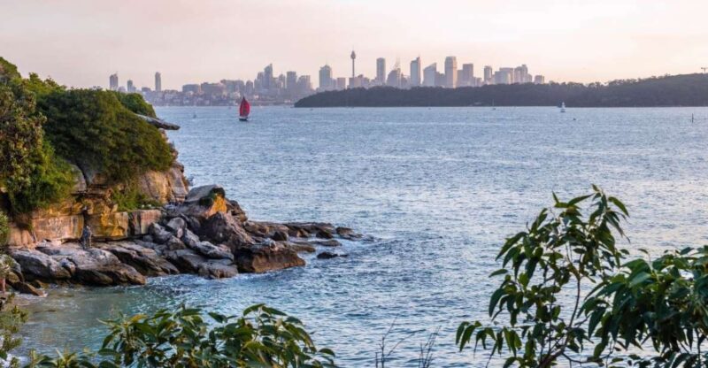 Sydney: Watsons Bay Walking Tour - Who Would Enjoy This Tour?