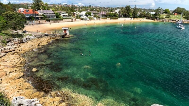 Sydney: Watsons Bay Walking Tour - The Sum Up