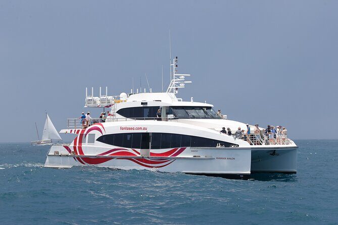 Sydney Whale Watching - 2.5hr Discovery Cruise - Authentic Experiences from Travelers