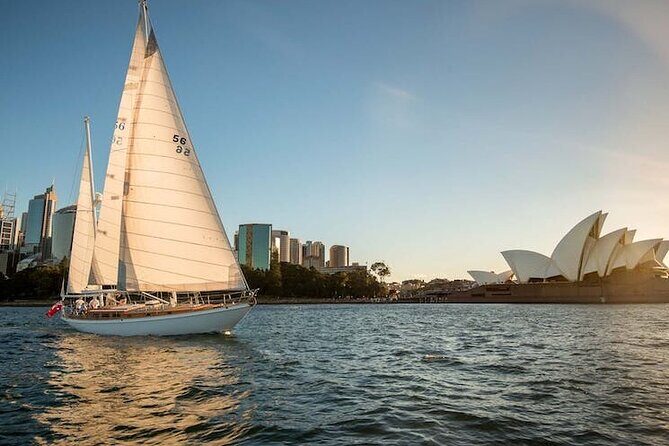 Sydney Whale Watching - 2.5hr Discovery Cruise - Final Thoughts: Who Is This Tour Best For?
