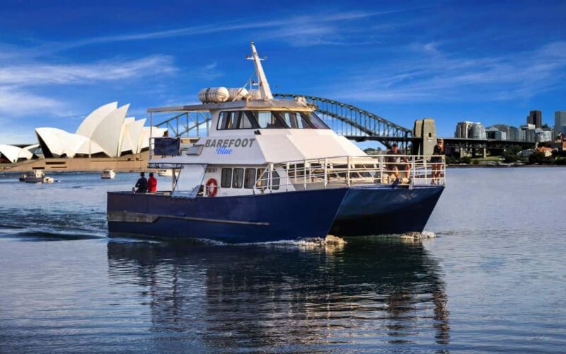 Sydney: Whale Watching Adventure Cruise - Whales Guaranteed! - Key Points  
