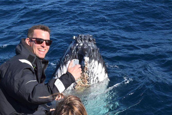 Sydney Whale-Watching by Speed Boat - Who Will Love This Tour?