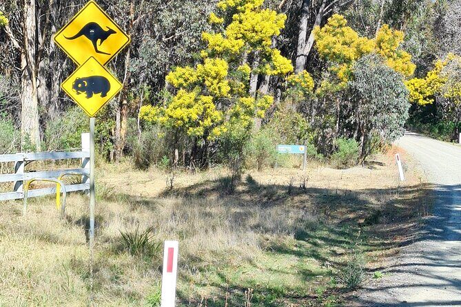 Sydney Wildlife Safari - What Travelers Say