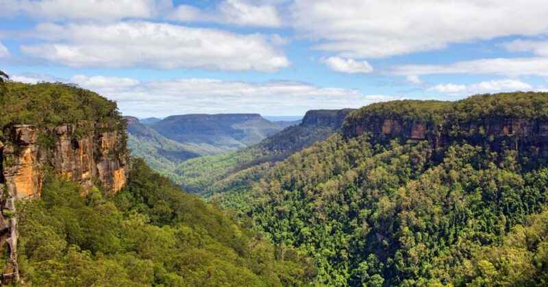 Sydney: Wildlife, Waterfalls and Wine Small Group Tour - The Overall Value