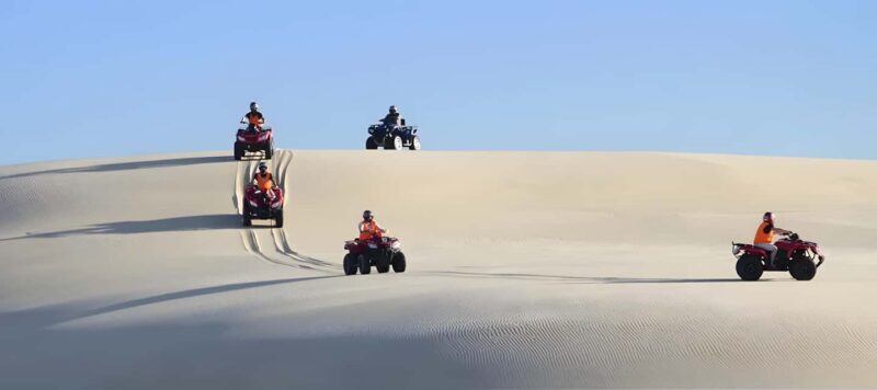 Sydney:Dolphin Watching and Sandboarding in Port Stephens - The Itinerary: What You Can Expect from This Full-Day Tour