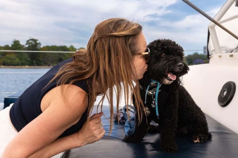Sydney's 1st Dog Friendly Harbour Cruise: Dogs on Deck - The Practical Details