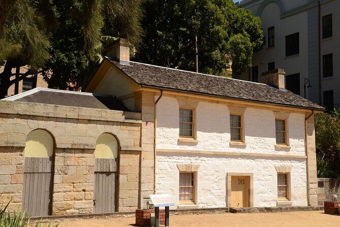 Sydney's Convict and Colonial Past An Evening Walking Tour - Who Should Consider This Tour?