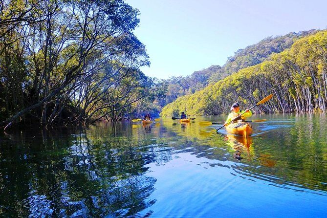 Sydney's Middle Harbour Sea Kayaking Eco Tour (Fully Guided) - Itinerary Breakdown: A Day in the Water