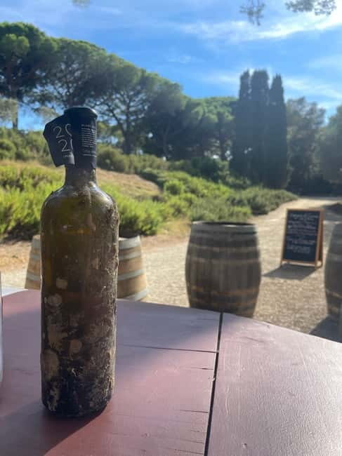 SYE Porquerolles: excursion semi-rigide découverte de l'île - Final Thoughts