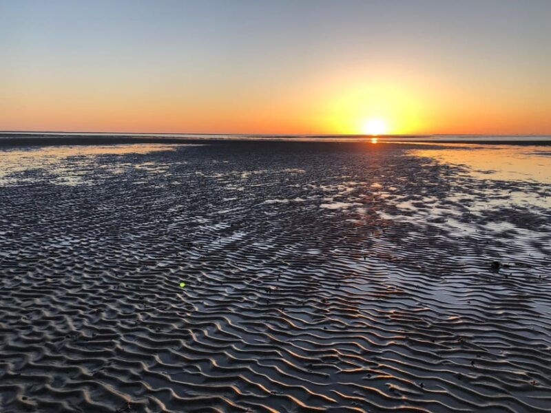 sylt-guided-mudflat-hike-on-the-island