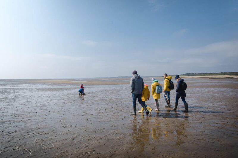 sylt-guided-mudflat-hike-on-the-island