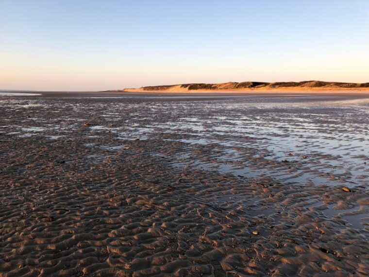sylt-guided-mudflat-hike-on-the-island