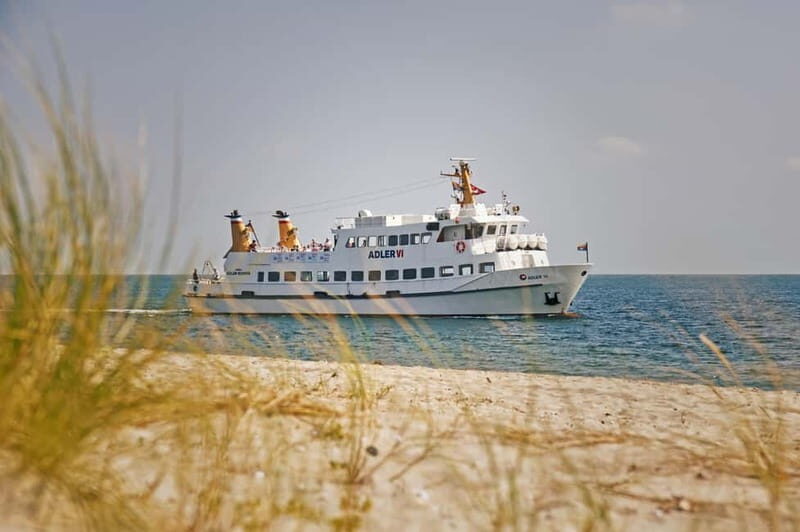Sylt: Shell safari with boat | incl. Mussel tasting & 1 glass of wine - Sylt: Shell Safari with Boat | Incl. Mussel Tasting & 1 Glass of Wine — A Deep Dive
