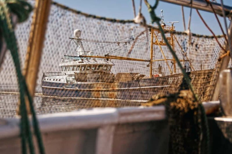 Sylt: Shell safari with boat | incl. Mussel tasting & 1 glass of wine - The Itinerary: What to Expect on the Water and on Shore