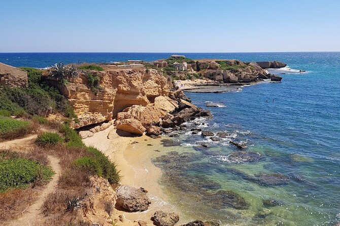 syracuse-bicycle-rental