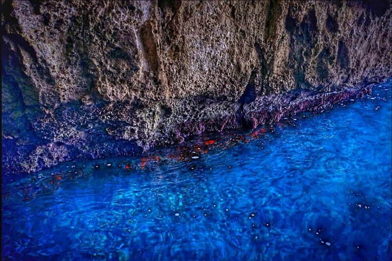 Syracuse: boat tour of the sea caves and Ortigia, Papyrus Excursion - Pricing and Value
