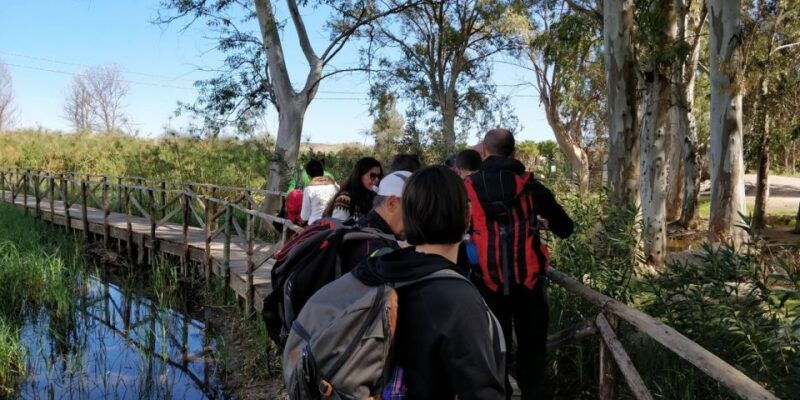syracuse-ciane-river-nature-reserve-guided-trek
