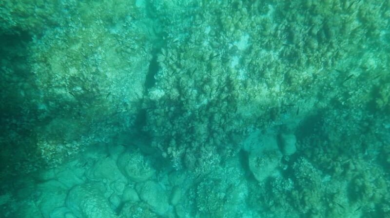 syracuse-coast-and-sea-caves-full-transparent-boat-tour