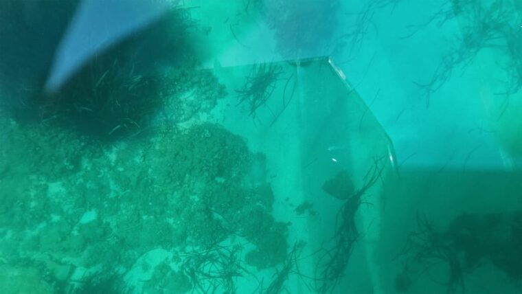 syracuse-coast-and-sea-caves-full-transparent-boat-tour
