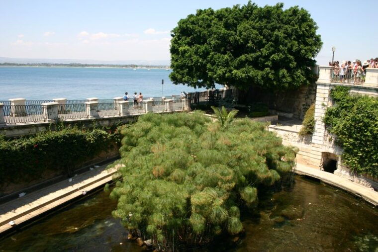 syracuse-ortigia-private-walking-tour