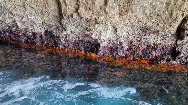 syracusesnorkelingpillirina-ortigia-sea-caves-boat-tour