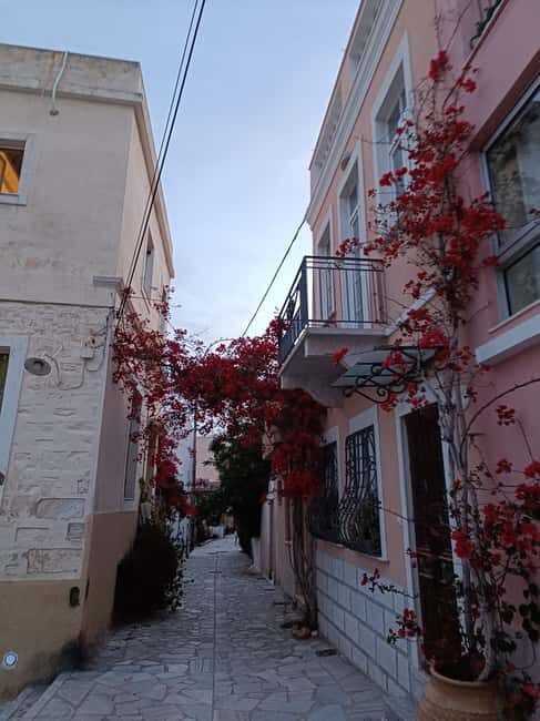 Syros - Ermoupoli Cultural Walking Tour - Who Will Love This Tour?