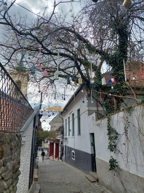 szentendre-half-day-private-tour-from-budapest
