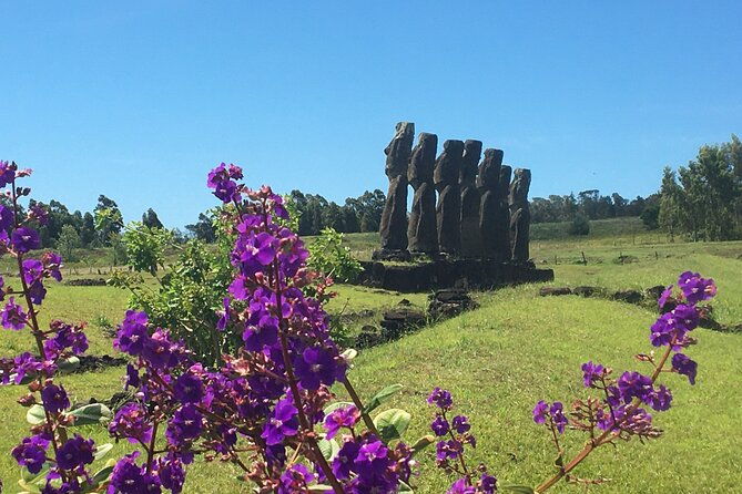 t2-the-must-haves-of-rapa-nui-non-cruise-visitors